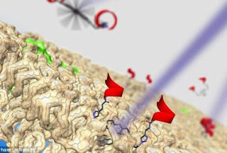 Sử dụng 'động cơ' nguyên tử siêu tốc diệt tế bào ung thư