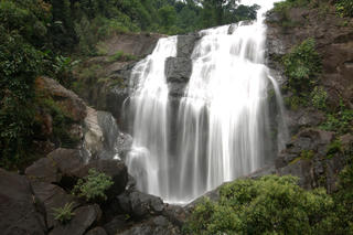 Khu Bảo tồn thiên nhiên Xuân Liên (Thanh Hoá): Tập trung phát triển du lịch  trong rừng đặc dụng