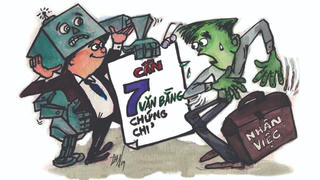 Khổ vì văn bằng, chứng chỉ