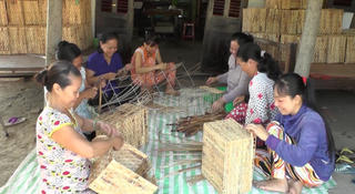 Sơ chế lục bình lúc nông nhàn
