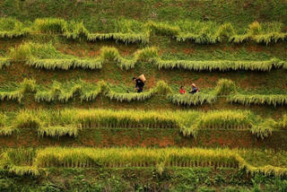 Trao giải thưởng Cuộc thi ảnh Di sản Việt Nam 2016