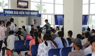 Nhanh chóng đưa luật vào đời sống