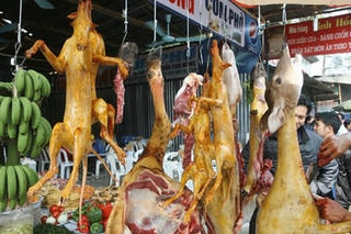 An toàn thực phẩm mùa lễ hội