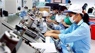 Phát động cuộc thi viết về kỹ năng lao động Việt Nam