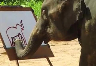Voi vẽ chân dung tự họa