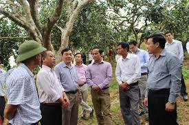 Năm 2018, cả nước phát triển 80 nghìn ha cây trồng VietGap