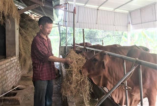 Đồng vốn đã tìm đến hàng triệu hộ nghèo