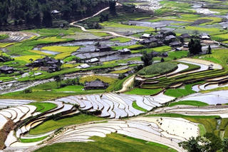 Niềm vui của Chờ