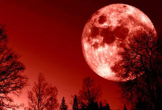 Ám ảnh 'vầng trăng máu'