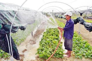 Vai trò, trách nhiệm của hội nông dân ngày càng rõ nét