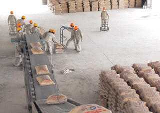 Giá xi măng, thép ổn định