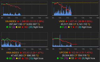 Thị trường chứng khoán giảm điểm chưa từng có, trên 220 mã nằm sàn