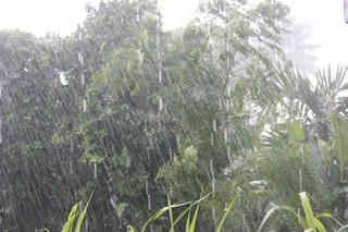 Hậu Giang: Mưa lớn, lốc xoáy thiệt hại nặng nề