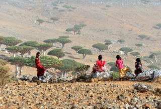 Tìm về nơi hẻo lánh