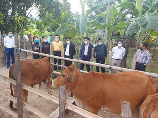 Giúp dân thoát nghèo bền vững