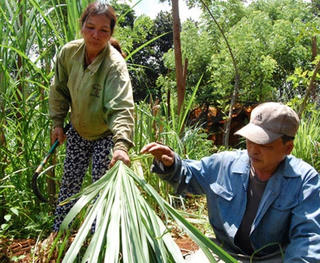 Đăk Nông: Thiết thực phát triển sản xuất