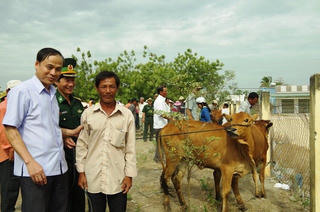 Trao 100 con bò giống cho các hộ nghèo tuyến biên giới biển