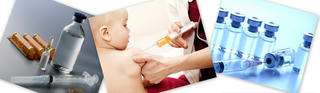 Bắt đầu mùa thủy đậu