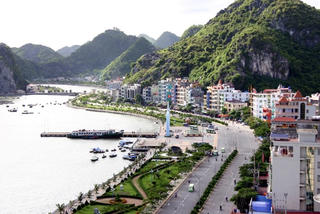 [ẢNH] Câu chuyện Cát Bà