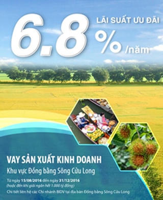 Vay kinh doanh hỗ trợ khu vực đồng bằng sông Cửu Long với lãi suất hấp dẫn từ BIDV