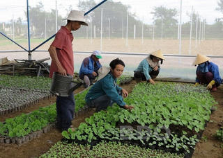 Ngôi làng thần kỳ