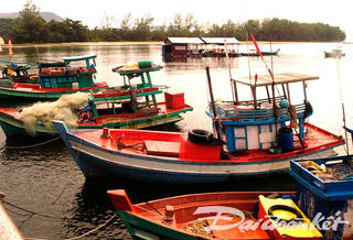 Ứng phó với cơn bão dị thường