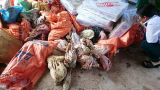 Gần 1,2 tấn thực phẩm 'quá đát' trong kho đông lạnh