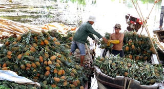 Nông sản Việt và cơ hội vào đất Thái