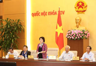 Sửa luật - chưa cấp thiết chưa trình ra Quốc hội
