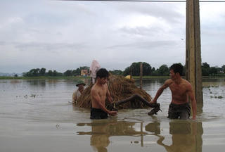 Tập trung cứu 5.600 ha lúa mùa bị ngập lũ