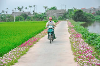 Những con đường hoa của làng quê Hải Dương