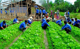 Bạc Liêu: Trí thức trẻ tham gia phát triển nông thôn ở vùng sâu, vùng xa