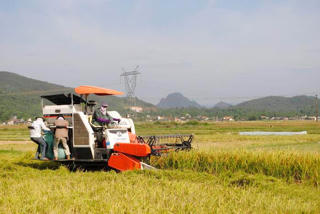 Gương mặt của làng