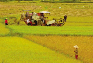 Dân biết, dân bàn