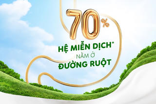 Hệ tiêu hóa - Hệ miễn dịch: Mối liên kết cho sức khỏe
