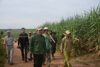 Nhiều mô hình xóa nghèo phát huy hiệu quả