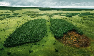 30 bức ảnh ấn tượng nhất kêu gọi bảo vệ môi trường