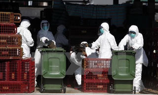 Trung Quốc ghi nhận ca nhiễm virus cúm gia cầm H7N9 mới