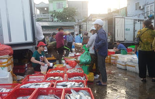 Nghi vấn thu tiền 'bảo kê' ở chợ Long Biên: Điều tra, báo cáo thành phố trước ngày 5/10