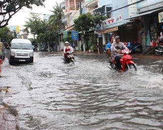 Bạc Liêu: Triều cường cao nhưng không gây thiệt hại lớn như tin đồn