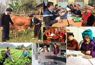 Truyền hình trực tiếp Ngày vì người nghèo