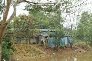 Trang trại lợn gây ô nhiễm