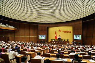 'Lỗ hổng' trong quản lý đất đai DNNN và giải pháp của Chính phủ