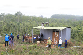 Đắk Glong (Đắk Nông): Xử lý nghiêm nạn phá rừng và lấn chiếm đất rừng