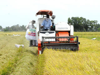 Tái cơ cấu nông nghiệp gắn với xây dựng nông thôn mới