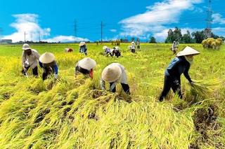 Gỡ khó cho nông nghiệp