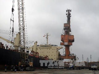 Tuyến vận tải container Nghi Sơn - Bến Nghé đi vào hoạt động