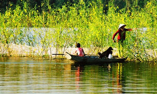 Một mùa lũ không về