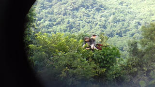 Huế bảo vệ động vật hoang dã