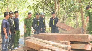 Để lâm tặc 'băm nát' rừng, nguyên Giám đốc Công ty Lâm nghiệp Ea Kar bị khởi tố